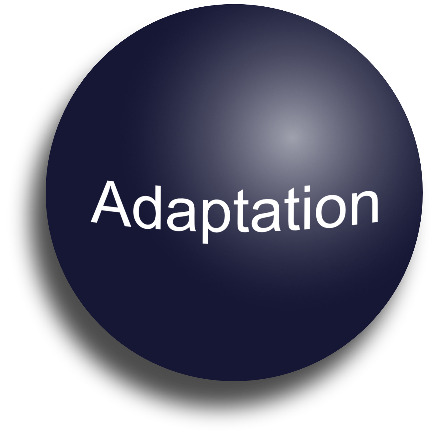 Alt_Adaptation_Ball